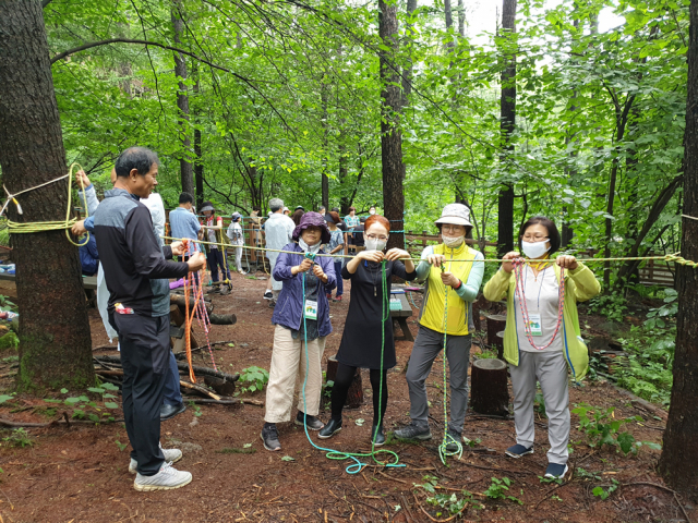 국립횡성숲체원 산림교육센터 방문객들이 숲밧줄놀이 프로그램에 참여하고 있다. 사진제공=산림청