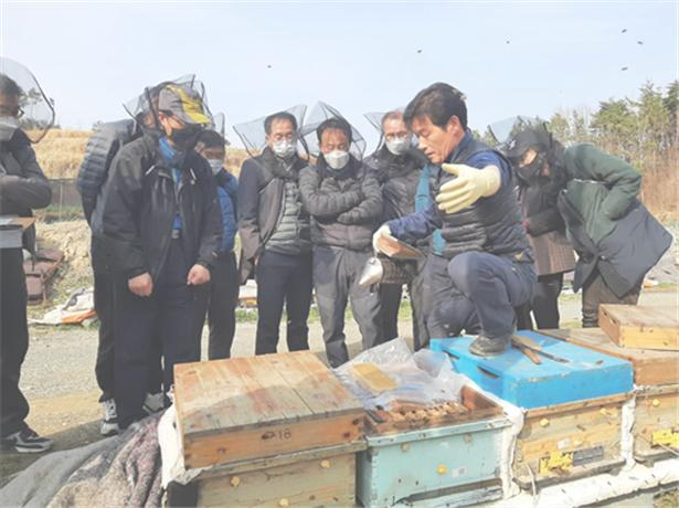 부산시 농업기술센터가 ‘농업인대학 산업곤충 양봉과정’을 운영한다./사진제공=부산시농업기술센터
