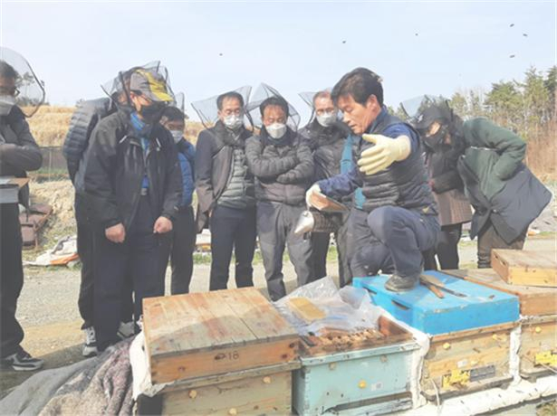 부산시 농업기술센터, 산업곤충 양봉과정 운영