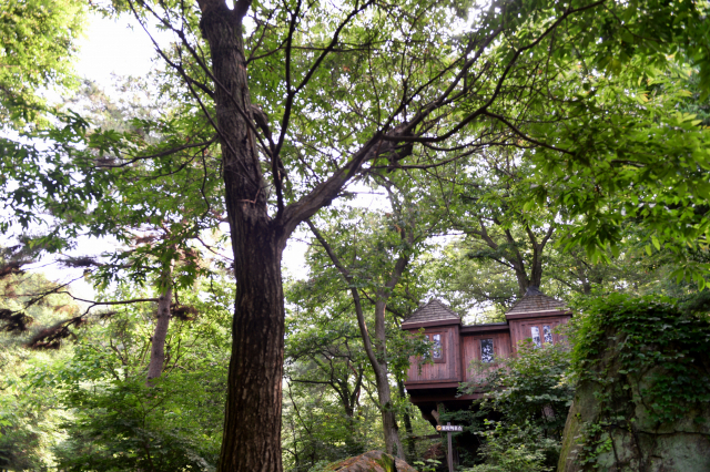 용인자연휴양림 내 마련된 숙소는 나무와 바위 등 주변 지형을 이용하고 있다.