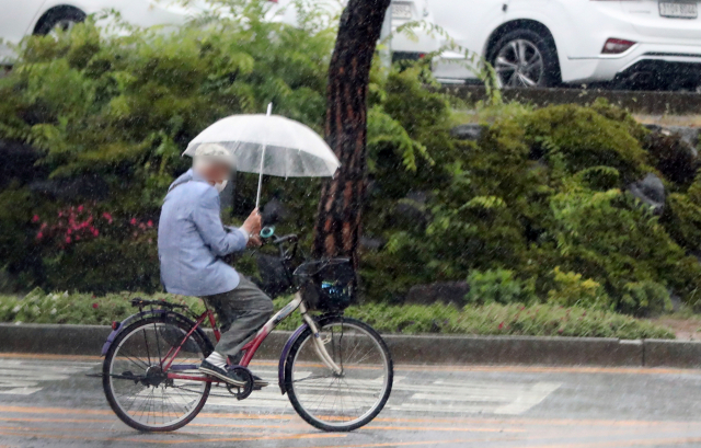 장맛비가 내리는 지난 7일 오후 우산을 쓴 시민이 경남 김해시청사 앞 도로를 자전거로 이동하고 있다. /연합뉴스