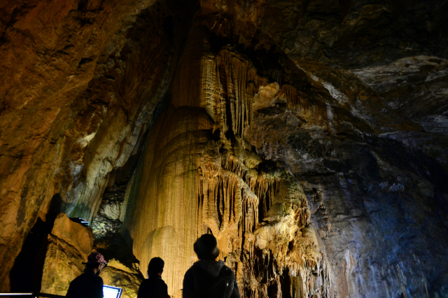 강원도 정선군 화암면 화암리에 있는 화암동굴은 국내 대표적 석회암 동굴이다.