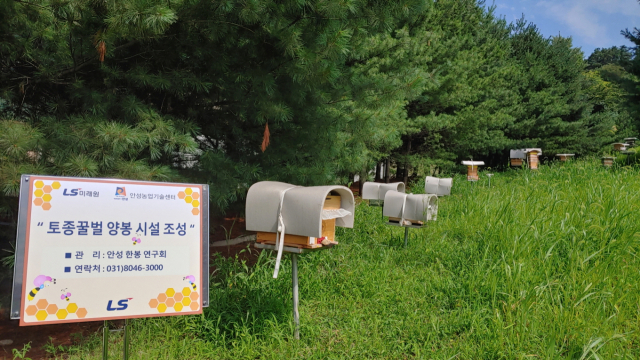 경기도 안성시 LS미래원 야외 정원에 설치된 토종 꿀벌 양봉 시설 전경. /사진 제공=LS그룹