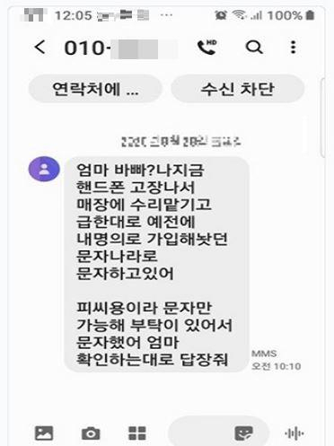 메신저 피싱 조직 총책이 중국 공안당국에 체포돼 국내로 강제 소환됐다./인천경찰청 제공