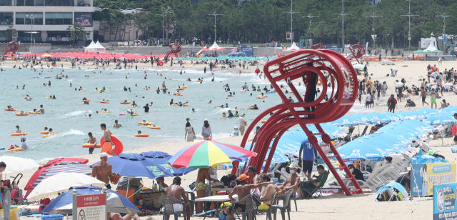 부산 해운대해수욕장에서 피서객이 물놀이하거나 파라솔 아래에서 더위를 식히고 있다./연합뉴스