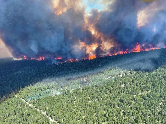 캐나다 서부 브리티시 컬럼비아주에서 기록적인 폭염에 이어 최근 대형화재가 발생한 모습. /사진출처=브리티시컬럼비아주 산불 소방본부