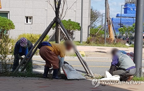 한 아파트 밀집 지역에서 취업 노인들이 잡초 제거작업을 하고 있다. / 연합뉴스