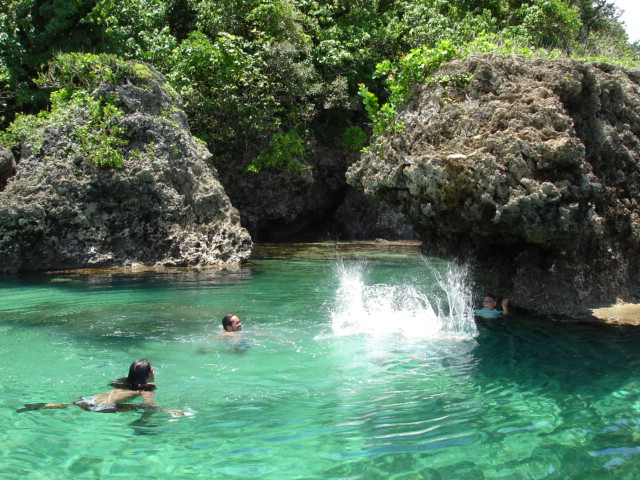 야자수 나무와 바위로 바다와 분리된 자연 수영장 ‘마푸푼코 락 풀’에서 여행객들이 다이빙을 즐기고 있다./사진 제공=필리핀 관광부