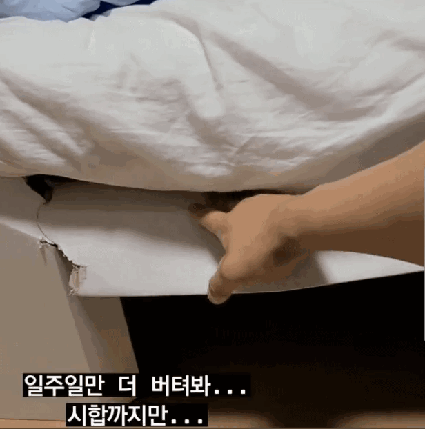 한국 역도 국가대표 진윤성은 지난 27일 인스타그램에 골판지 침대 상태를 공개했다./진윤성 인스타그램