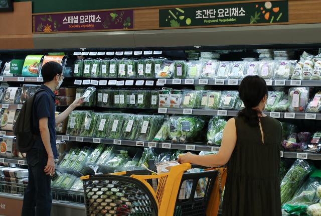 2주째 이어지는 폭염 탓에 일부 채소 가격이 급등하고 있다. 전일 한국농수산식품유통공사(aT)의 농산물유통정보(KAMIS)에 따르면 최근 상추·시금치·깻잎 등 엽채류(잎채소류) 가격이 크게 올랐다. 지난 27일 기준 시금치 도매가격은 4㎏당 3만 9,360원으로 1년 전보다 약 92% 상승했다. 사진은 28일 서울 시내 대형 마트의 채소 판매대 모습./연합뉴스