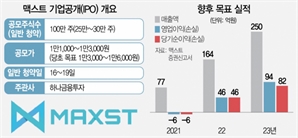 공모주 열풍에... 올해 '따상' 11개로 사상 최대 찍었다