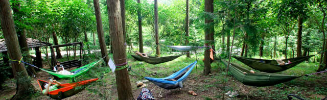 ‘정남진편백숲우드랜드’는 억불산 기슭의 편백나무 숲속에 위치해 있다. 사진은 우드랜드 방문객들이 해먹에 누워 휴식을 취하는 모습이다.