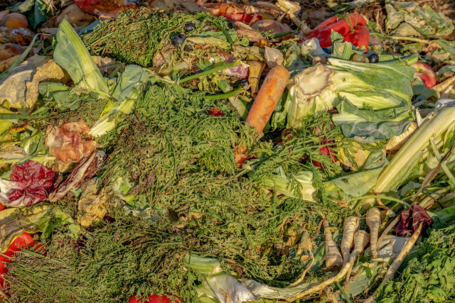 매년 14억 톤에 달하는 식품이 쓰레기가 된다