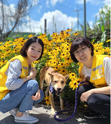 '사람과 길냥이·유기견 공존하면 사회 품격도 높아지죠'