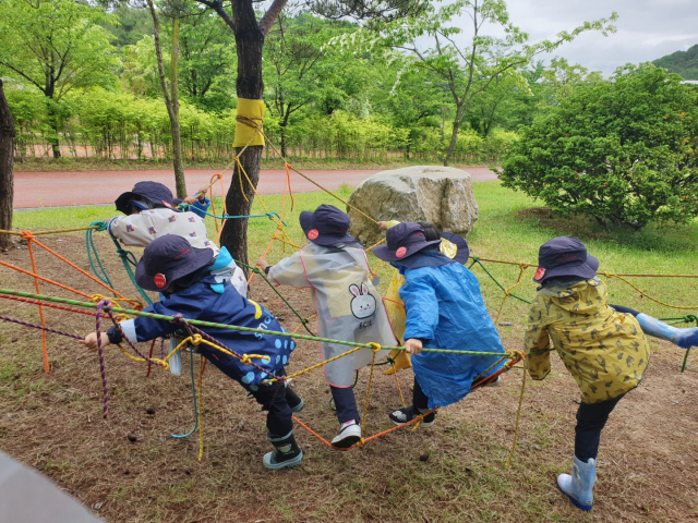 국립산림치유원이 실시한 유아대상 산림치유 프로그램에 참가한 유아들이 ‘숲 밧줄 놀이’ 프로그램을 즐기고 있다. 사진제공=국립산림치유원