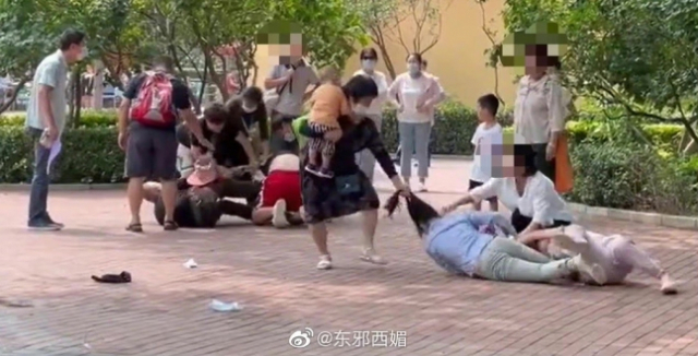 중국 동물원에서 집단 몸싸움이 일어났다./웨이보 화면 캡처