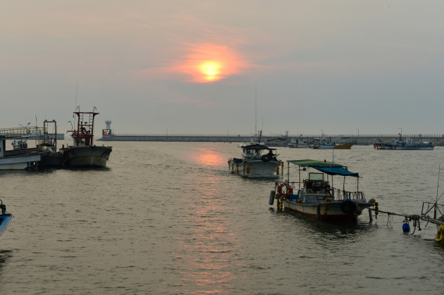 궁평항은 2008년 국가 어항으로 지정된 곳으로 수산 시장과 어항, 낚시를 할 수 있는 부두에 해송으로 둘러싸인 해수욕장까지 있어 수도권 시민들이 즐겨 찾는 곳이다.