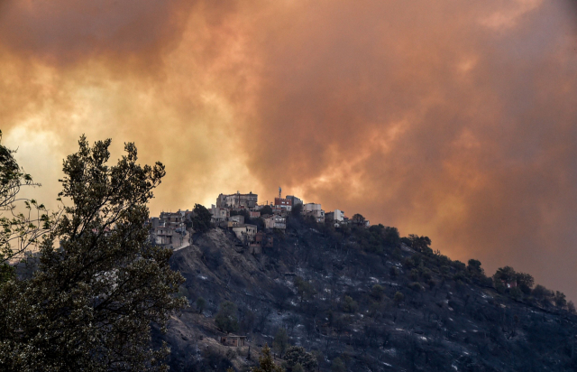 10일(현지시간) 알제리 북부 카빌리 지역 티지우주의 한 언덕 위로 산불로 인한 시커먼 연기가 피어오르고 있다. 100여 건의 산불이 동시다발적으로 발생하면서 북부 산림지대를 포함해 17개 주를 휩쓸었다. /AFP연합뉴스