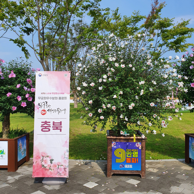 ‘2021년 무궁화 우수분화 품평회’에서 단체 대상을 차지한 충북도 무궁화 분화. 사진제공=산림청