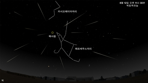 여름밤 수놓을 '별똥별 우주쇼'…'오늘 밤 북동쪽 하늘 보세요'