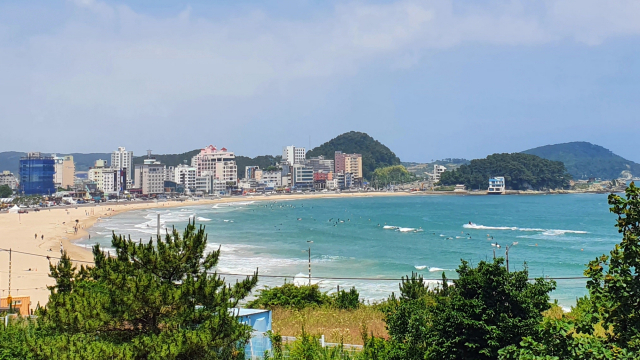 서핑족들이 해수욕장에서 서핑을 즐기고 있다. /사진 제공=자생한방병원