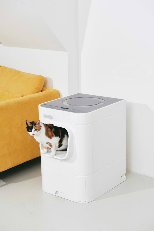 현대렌탈케어의 고양이 자동화장실 ‘라비봇2’. /사진 제공=현대렌탈케어