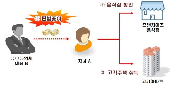 국세청이 10대 연소자의 탈세혐의에 대해 조사에 착수했다./국세청 제공