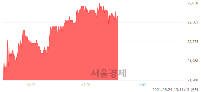 <코>인트론바이오, 4.62% 오르며 체결강도 강세 지속(201%)