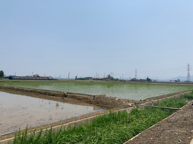 충남 당진 농지 전경. /연합뉴스