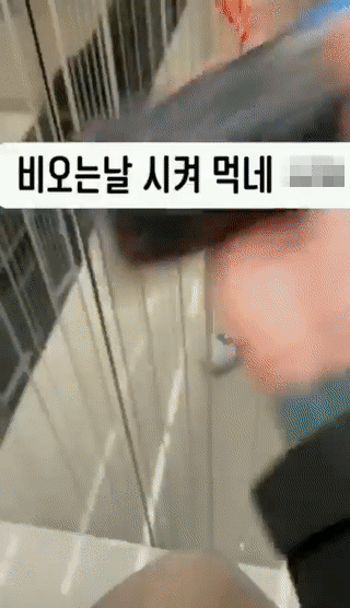 [영상] '비 오는 날 시켜먹네 XX'…콜라 마구 흔든 배달기사