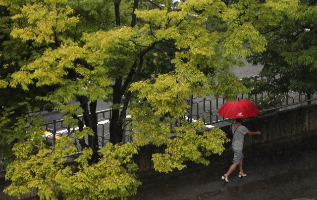 정체전선의 영향으로 가을장마가 이어지고 있는 25일 광주 서구 치평동에서 우산을 쓴 시민이 지나고 있다./연합뉴스