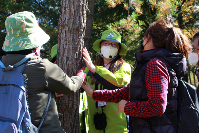 숲해설가가 산림교육프로그램을 진행하고 있다. 사진제공=산림청