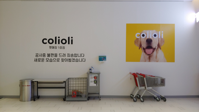 서울 은평구 롯데마트 은평점에 반려동물 전문 매장 '콜리올리'가 다음 달 중순 오픈을 앞두고 내부 공사 중이다./백주원 기자