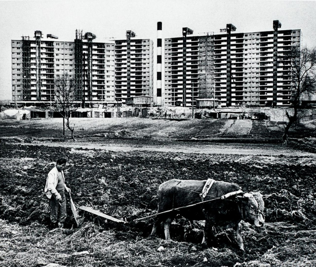 1978년 서울 강남구 압구정동 현대아파트의 모습. /사진 제공=창비