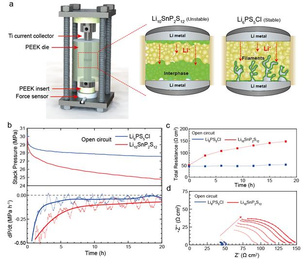 두 종류 황화물계 고체전해질을 활용한 실험 모식도. a 리튬메탈 대칭 전고체전지의 모식도와 내부에서 일어나는 두 가지 부반응에 대한 그림. b 2차상이 생성되는 황화물계 전해질(파란색)과 수지상이 생성되는 황화물계 전해질의 압력분석(빨간색). c, d 시간에 따른 대칭 전고체전지의 내부 저항 그래프. /그림=UNIST