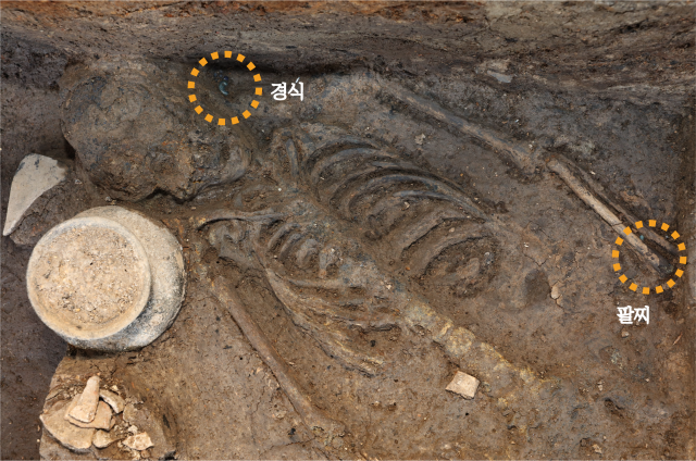 신라 왕성인 경주 월성 서성벽에서 제물로 바쳐진 것으로 보이는 신라 여성의 인골이 최근 발견됐다. 키 135㎝의 왜소한 여성의 목과 팔목에서 곡옥으로 만들어진 유리제 장신구도 함께 발굴됐다. /사진 제공=국립경주문화재연구소