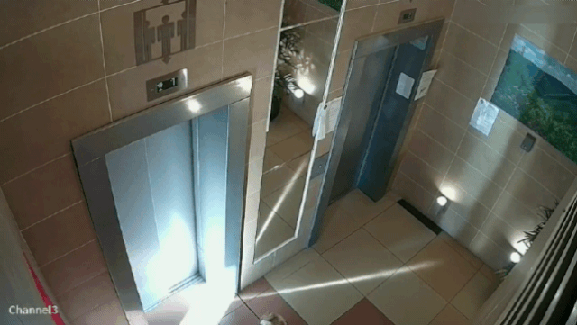 러시아에서 주인과 함께 귀가하던 강아지가 엘리베이터에 못 탄 채 문이 닫혀 목줄이 문틈에 끼이는 사고가 발생했다. /유튜브 캡처