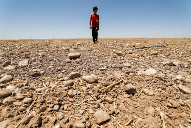 지난 7월 24일(현지 시간) 이라크에서 한때 농지였던 곳이 가뭄으로 말라붙은 모습./AFP연합뉴스