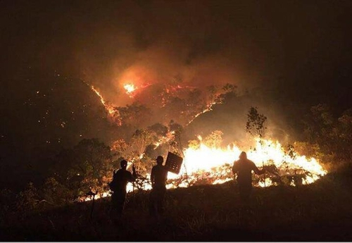 브라질 중서부 삼림 지역에서 열흘째 화재가 계속되면서 주민과 관광객 수백명이 대피했다. /연합뉴스