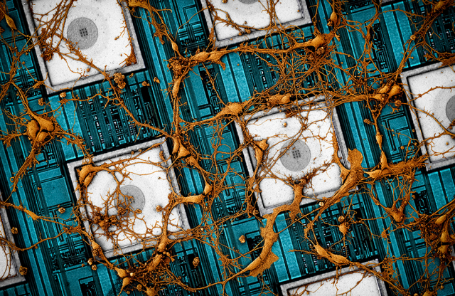 삼성전자 “AI 반도체 미래는 인간 뇌 복사한 뉴로모픽”