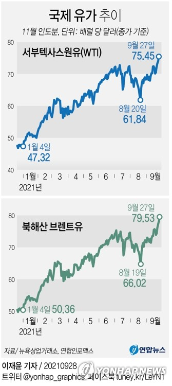 [연합뉴스 자료그래픽]