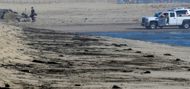 미국 캘리포니아 남부 해상에서 총 3,000배럴, 47만ℓ가 넘는 석유 유출 사고가 발생한 가운데 3일(현지 시간) LA 남쪽 헌팅턴비치 백사장이 유출된 기름으로 오염돼 있다. /로이터연합뉴스