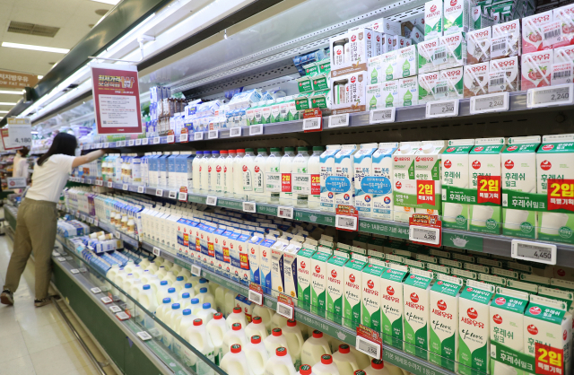 서울 시내 한 대형마트 우유 및 유제품 판매대 모습이다. 사진은 기사와 직접적인 관련이 없습니다. /연합뉴스