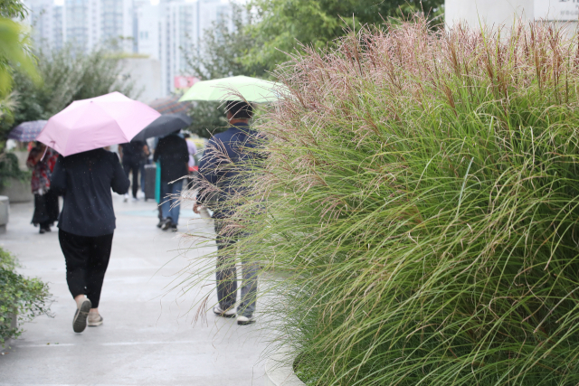 4일 오후 서울 중구 서울로7017에서 우산을 쓴 시민들이 산책을 하고 있다. /연합뉴스
