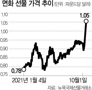 사진 설명