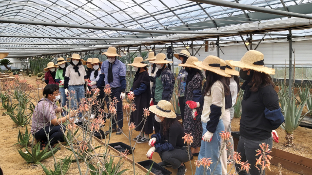 농촌교육농장 품질인증을 받은 경남 김해시 한림알로에. /사진 제공=경상남도농업기술원