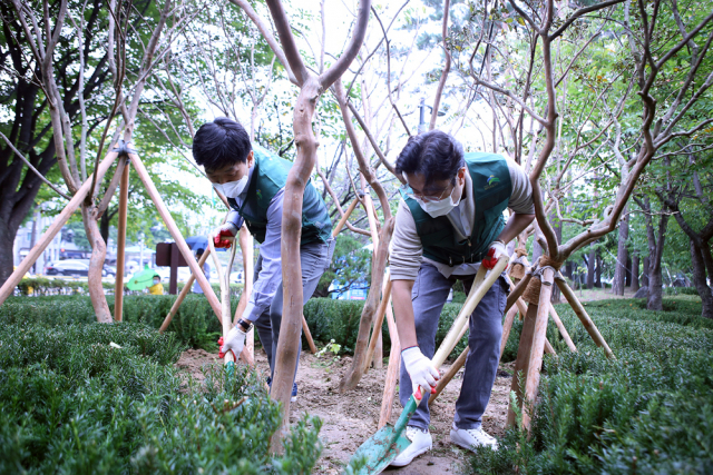 SSG닷컴 관계자들이 8일 서울 은평구 평화공원에서 묘목을 심고 있다./사진 제공=SSG닷컴