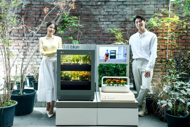 LG전자 모델이 14일 서울 성수동 팝업스토어에서 신개념 식물생활가전 ‘LG 틔운’을 소개하고 있다. 이날 출시된 LG 틔운은 자동으로 빛·온도를 조절하고 물을 공급해 실내에서 손쉽게 꽃·채소·허브 등을 키울 수 있다./사진제공=LG전자