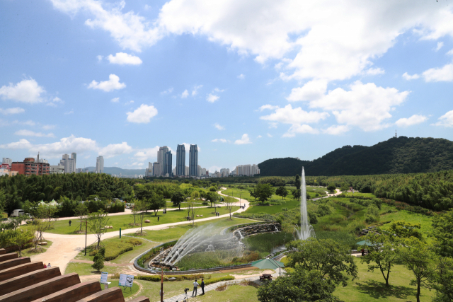 지난해 7월 울산 태화강대공원 전경. /사진제공=울산시