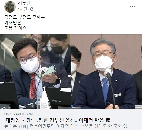 김부선, 이재명 국감 이후 '민주당은 완전히 미쳤다'